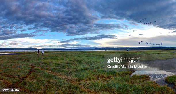 shores of lake nakuru, lake nakuru national park, kenya, east africa, publicground - lake nakuru fotografías e imágenes de stock