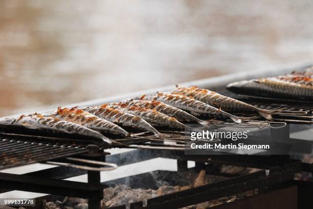 fish on a grill, sandkerwa, folk festival, bamberg, upper franconia, franconia, bavaria, germany, publicground - upper franconia - fotografias e filmes do acervo