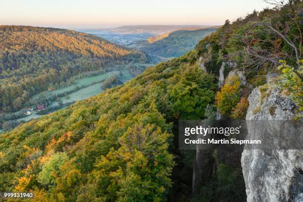 view from the roethelfels or roetelfels climbing rock, altental valley at front, wiesenttal valley at back, in the morning, franconian switzerland, upper franconia, franconia, bavaria, germany - upper franconia - fotografias e filmes do acervo