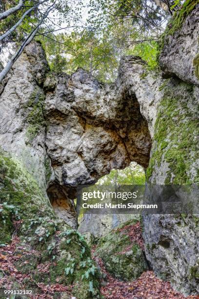 schwingbogen rock arch near neudorf, wiesenttal, franconian switzerland, upper franconia, franconia, bavaria, germany, publicground - upper franconia stock pictures, royalty-free photos & images