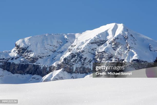 foostock in deep winter, in the back the alps vorsiez, weisstannental, mels, sarganserland region, st. gallen, switzerland - st gallen stockfoto's en -beelden