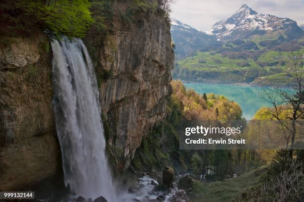 source of the river rhine on lake walensee, canton of st. gallen, switzerland - st gallen stockfoto's en -beelden