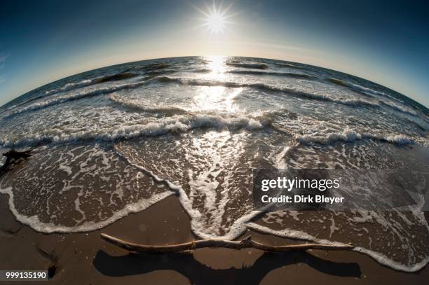 branch on the beach at sunset, west beach, fischland-darss-zingst, baltic sea, mecklenburg, pomerania, germany - east branch stock pictures, royalty-free photos & images