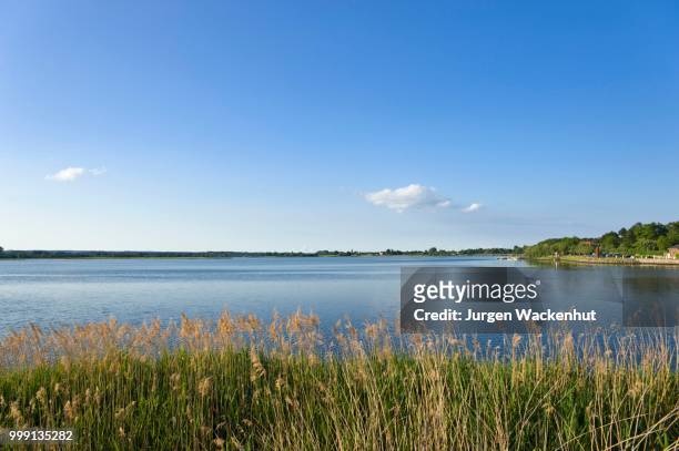 lake neustaedter binnenwasser, neustadt in holstein, baltic sea, schleswig-holstein, germany - sleeswijk holstein stockfoto's en -beelden