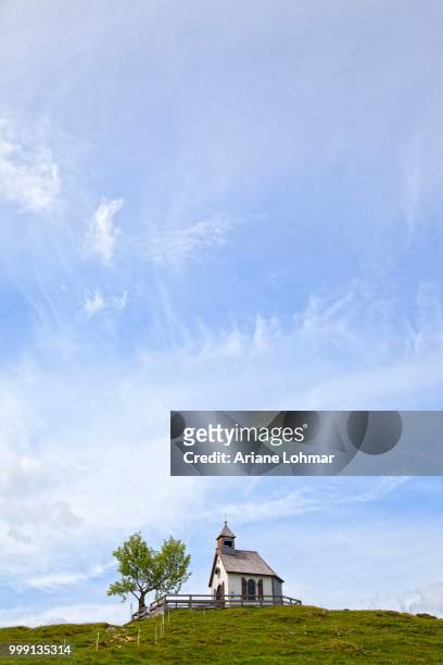 small chapel on a hill on a mountain pasture in the salzkammergut, austria, publicground - ariane stock pictures, royalty-free photos & images