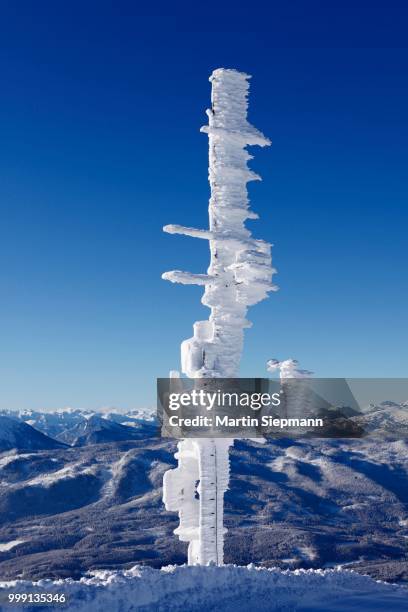 transmission tower on lawinenstein mountain, bad mitterndorf, ausseerland, salzkammergut, styria, austria - biological process stock pictures, royalty-free photos & images