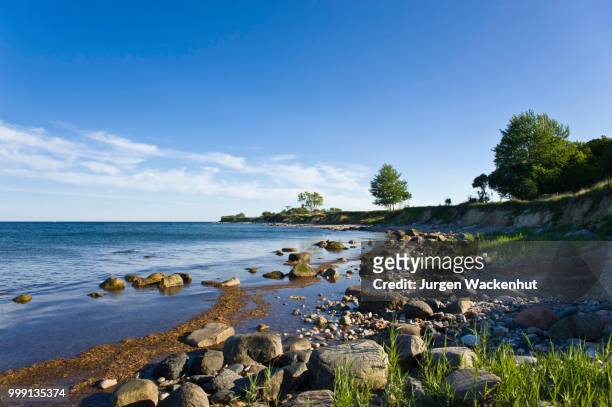 on the coastal cliffs of staberhuk, fehmarn island, baltic sea, schleswig-holstein, germany - fehmarn stock pictures, royalty-free photos & images