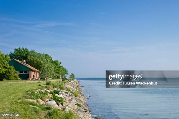 view of the bay of orther reede, orth, island of fehmarn, baltic sea, schleswig-holstein, germany - fehmarn stock pictures, royalty-free photos & images