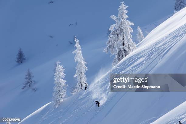 deep powder snow, hahn'l piste ski slope, reiteralm skiing area, pichl-preunegg near schladming, styria, austria - hahn stock pictures, royalty-free photos & images