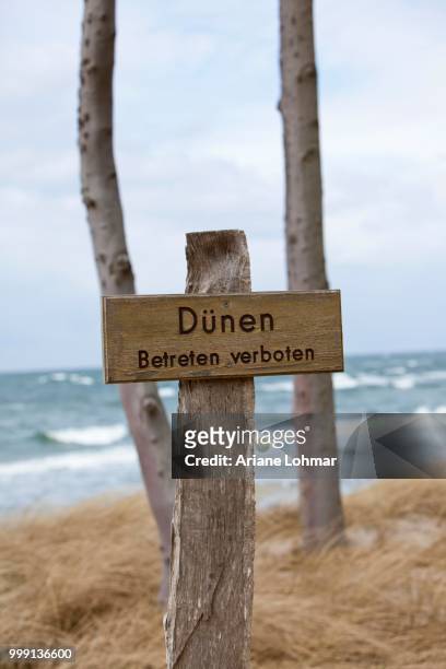 wooden cross, prohibition sign, no entry sign, --duenen betreten verboten--, german for --dunes, do not enter--, german baltic sea, near ahrenshoop, darss, mecklenburg-western pomerania, germany, publicground - ariane stock pictures, royalty-free photos & images