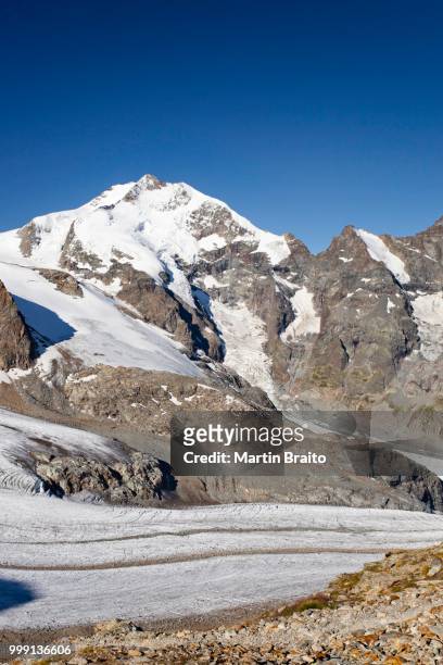 view during the ascent of piz palue mountain towards the summit of bernina mountain with the bianco ridge, with pers glacier at the front, grisons, switzerland - bianco bildbanksfoton och bilder