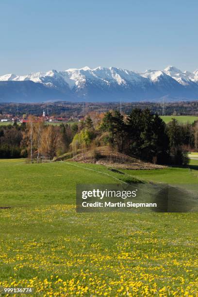 alpine foothills with diemendorf, tutzing municipality, fuenfseenland, five lakes district, upper bavaria, bavaria, germany - fives stock pictures, royalty-free photos & images