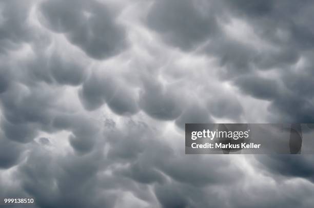mammatus clouds, cellular pattern of pouches hanging underneath the base of a thunderstorm cloud, also known as cumulonimbus cloud, baden-wuettemberg, germany - keller ストックフォトと画像