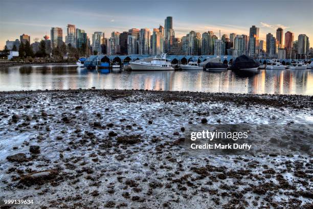 vancouver - mark duffy stock pictures, royalty-free photos & images