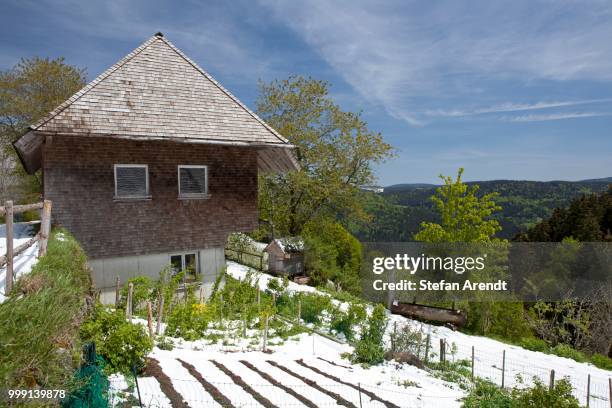 farm in spring with snow on kandel mountain in the black forest, baden-wuerttemberg, germany, publicground - kandeel stock pictures, royalty-free photos & images