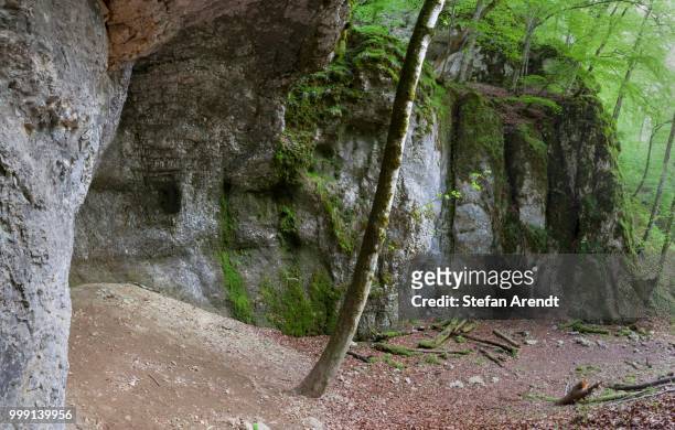 grotto in the rocks below burg wildenstein castle, danube valley, baden-wuerttemberg, germany - burg stock pictures, royalty-free photos & images