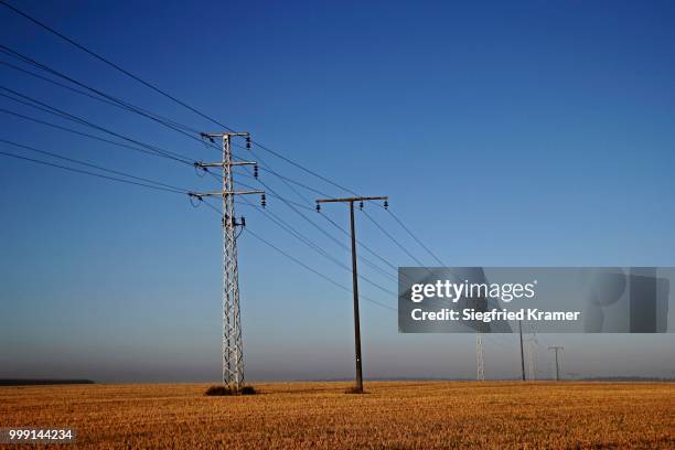 electricity pylons at dawn, upper swabia, baden-wuerttemberg, germany - biological process foto e immagini stock