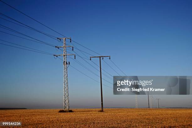 electricity pylons at dawn, upper swabia, baden-wuerttemberg, germany - biological process stock pictures, royalty-free photos & images