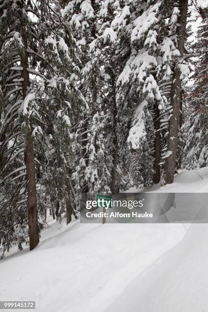 snowy forest with a sign, lettering --radfahren verboten--, german for --no cycling--, hoher kranzberg mountain, mittenwald, bavaria, germany - radfahren stock pictures, royalty-free photos & images