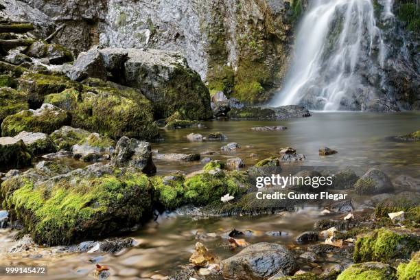 waterfall in the wasserlochklamm gorge near palfau, liezen, upper styria, styria, austria - liezen stock pictures, royalty-free photos & images
