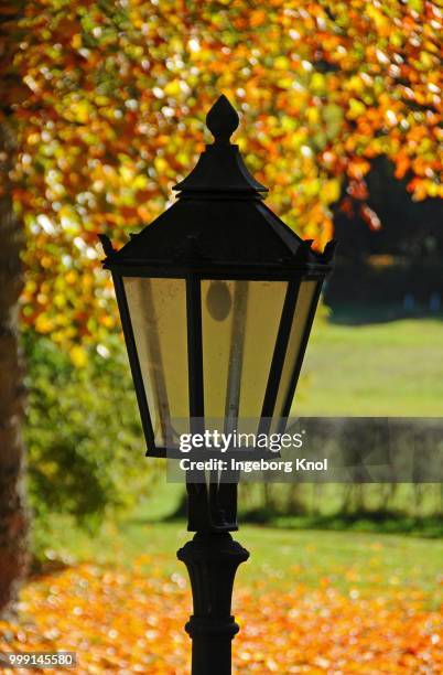 lantern in front of an autumn coloured deciduous tree, uetersen, schleswig-holstein, germany, publicground - deciduous stock pictures, royalty-free photos & images