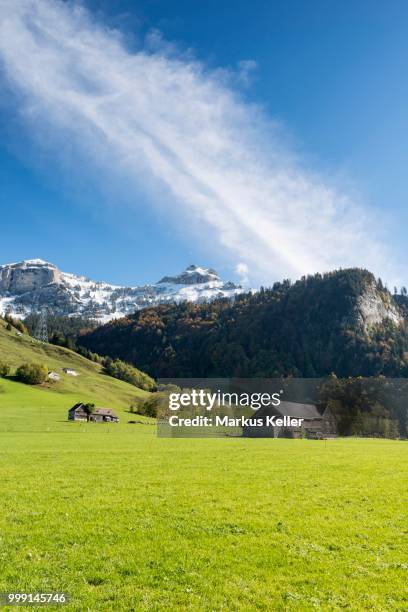 view over a pasture to the snow-capped appenzell alps, hoher kasten mountain, right, and kamor mountain, left, canton of appenzell-innerrhoden, switzerland - appenzell innerrhoden stock pictures, royalty-free photos & images