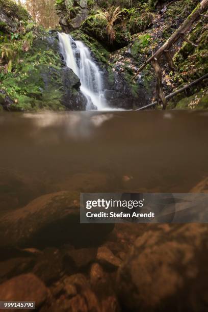 falkaau waterfalls in autum, image half above and below the waterline, near mt feldberg, black forest, germany - waterline ストックフォトと画像