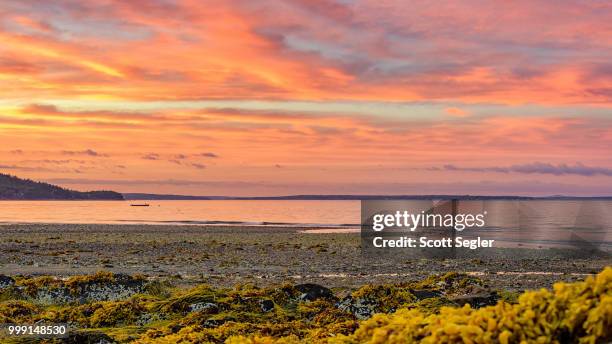 frenchman bay sunset ii - frenchman stockfoto's en -beelden