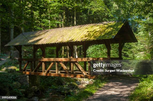 bridge across the grobbach creek near geroldsauer wasserfall waterfall, schwarzwald, baden-baden, baden-wuerttemberg, germany - wasserfall stock pictures, royalty-free photos & images