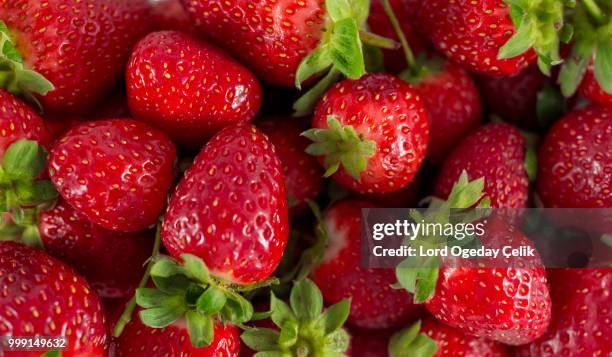 strawberry macro - strawberry macro stock pictures, royalty-free photos & images
