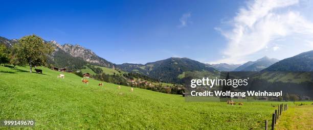 panoramic view, kitzbuehel alps, alpbach valley, alpbach, tyrol, austria - alpbach ストックフォトと画像