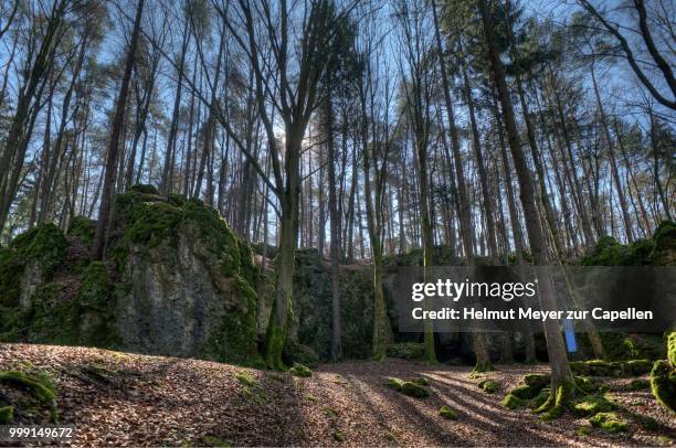 esper cave natural monument, leutzdorf, lower franconia, bavaria, germany - oberfranken stock-fotos und bilder