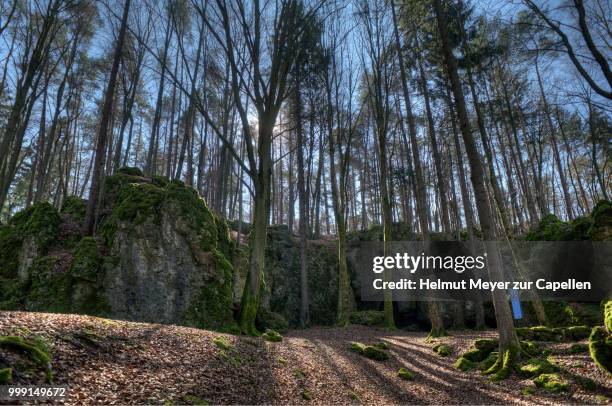 esper cave natural monument, leutzdorf, lower franconia, bavaria, germany - esper stock pictures, royalty-free photos & images