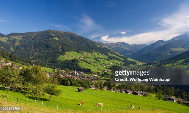 pasture, cows, kitzbuehel alps, alpbach valley, alpbach, tyrol, austria - north tirol stock pictures, royalty-free photos & images
