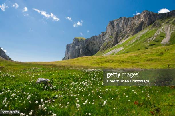 salzofen - totes gebirge - gebirge stock pictures, royalty-free photos & images