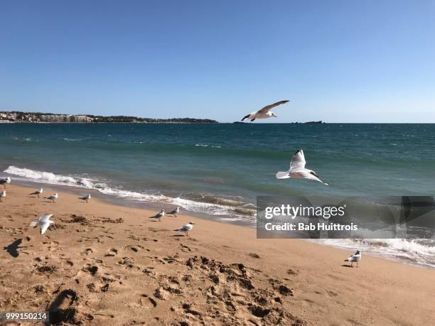 saint-raphaël,france - bab stock pictures, royalty-free photos & images