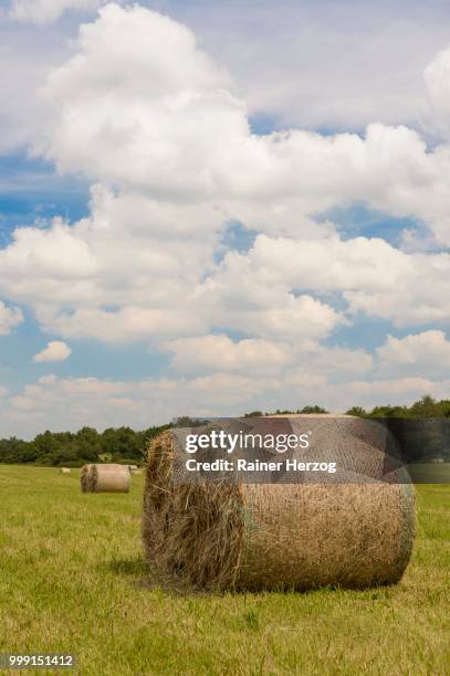 round straw bales in a meadow, feldberger seenlandschaft, mecklenburg-western pomerania, germany - herzog stock pictures, royalty-free photos & images