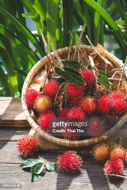fresh rambutans in the sunlight - rambutan stock pictures, royalty-free photos & images