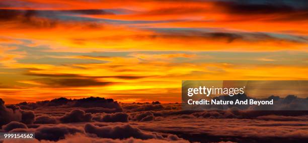 above the clouds - above and beyond stock pictures, royalty-free photos & images