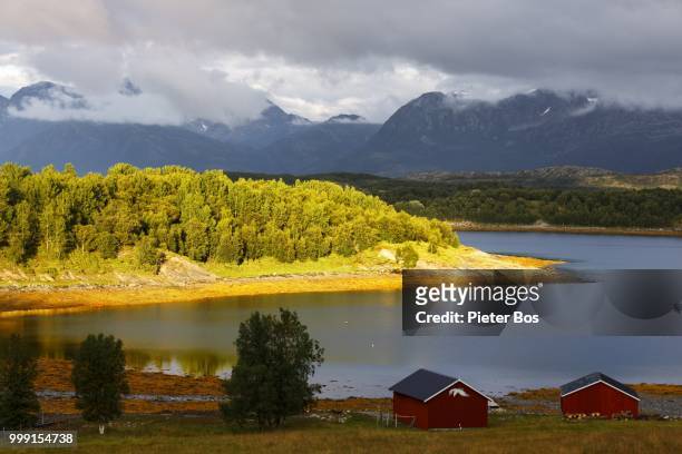 leinesfjorden,norway - bos fotografías e imágenes de stock