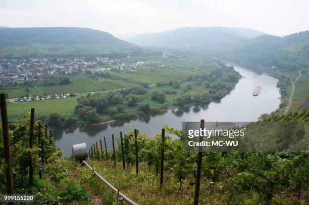 the mosel river - wu stock pictures, royalty-free photos & images