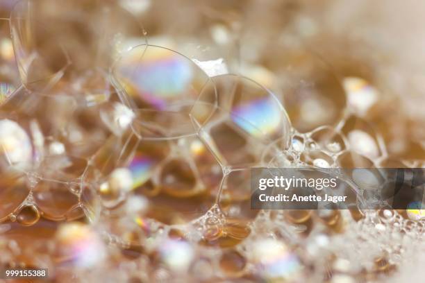 bubbles, lather, germany - jager stock pictures, royalty-free photos & images