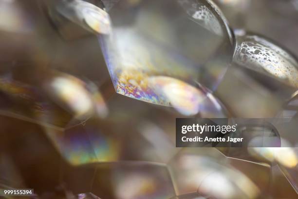 bubbles, lather, germany - jager stock pictures, royalty-free photos & images