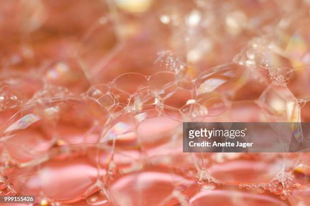 bubbles, lather, germany - jager stock pictures, royalty-free photos & images
