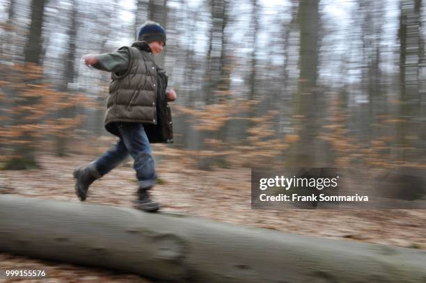 boy, 7 years, running over a tree trunk in a forest, thuringia, germany - boys only caucasian ethnicity 6 7 years stock-fotos und bilder