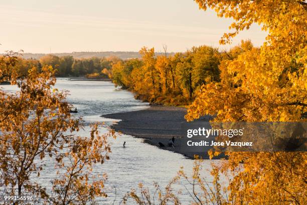 playtime by the river - vazquez stock pictures, royalty-free photos & images