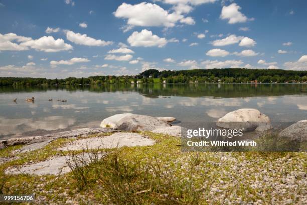 lakeshore of lake woerth, erling, andechs, fuenfseenland, upper bavaria, bavaria, germany - starnberg stock-fotos und bilder