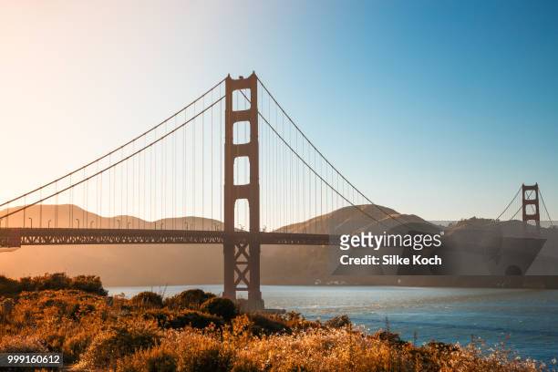 golden gate - koch stock pictures, royalty-free photos & images