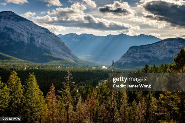 bow river valley - bow valley stock pictures, royalty-free photos & images