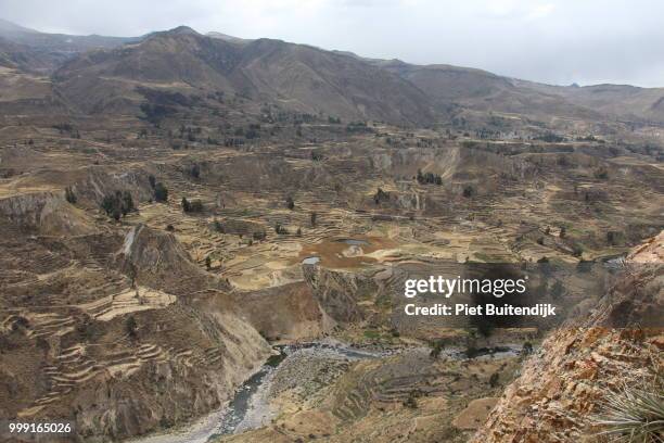 colca canyon - colca stock pictures, royalty-free photos & images